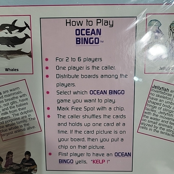 Lucy Hammett's Ocean Bingo Game Fun Family Educational Science Teacher's Edition - Picture 4 of 6